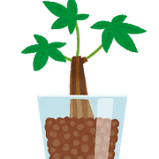 plant_hydroculture