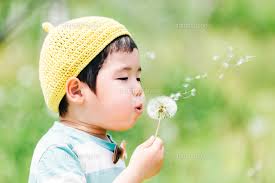 子どもがたんぽぽの綿毛を吹く様子(優しさや希望の象徴として)