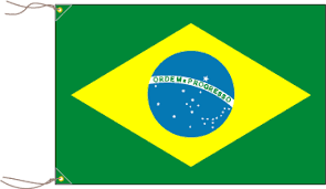 ブラジルの国番号を示すイメージ(国旗と電話)
