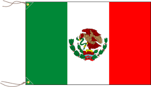 メキシコ市内の電話通信インフラの風景(無料素材サイトより)