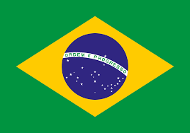ブラジルの地図と国旗のイメージ