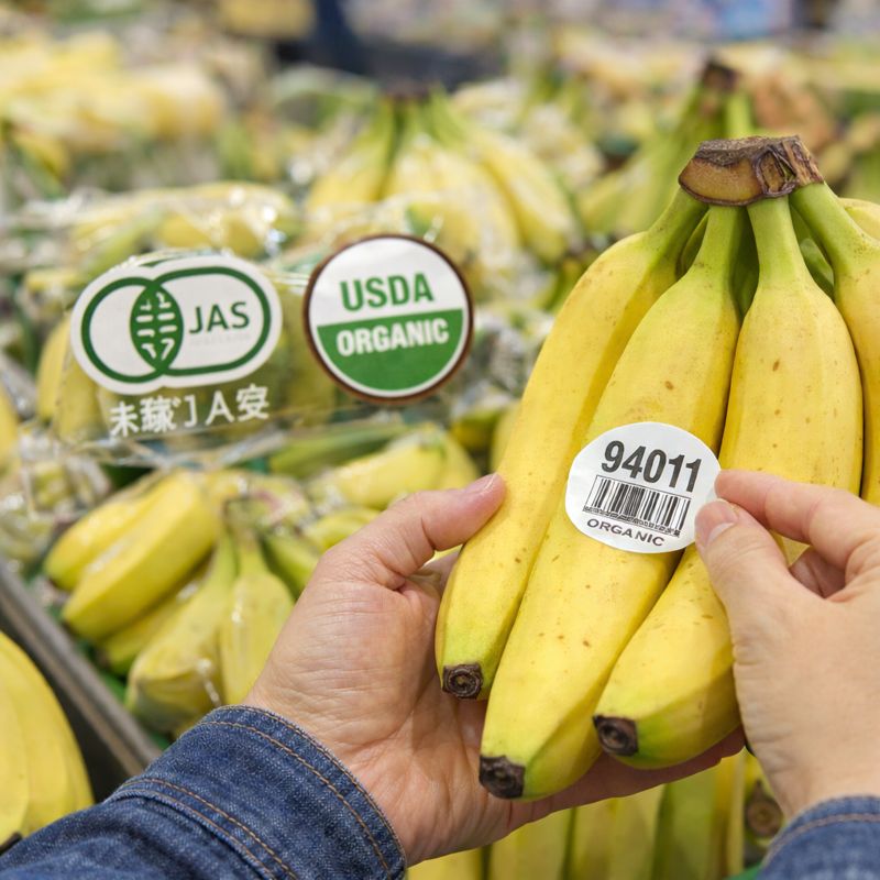 オーガニックバナナの売り場表示や認証マーク、ラベルを確認しているイメージ画像（無料素材）