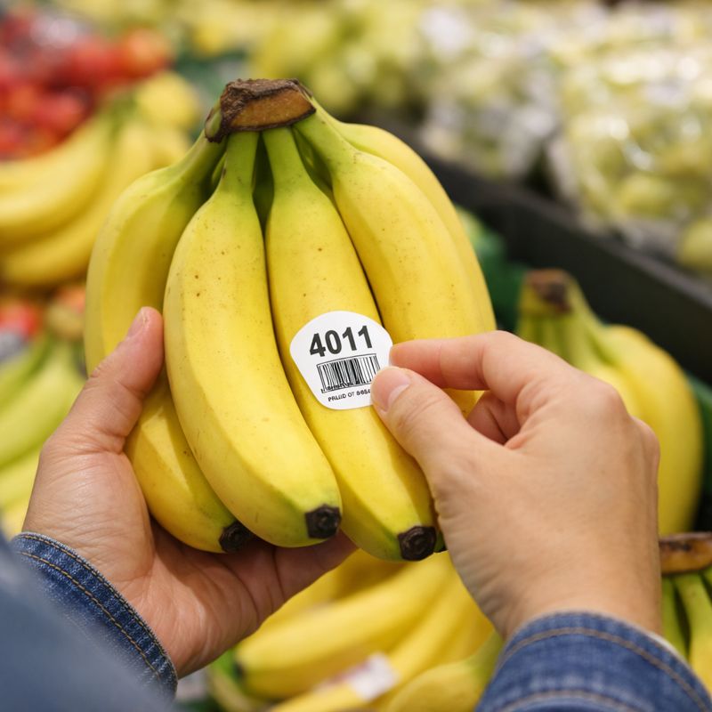 スーパーの売り場でバナナの房に貼られたラベル（数字やバーコード）を確認しているイメージ画像（無料素材）